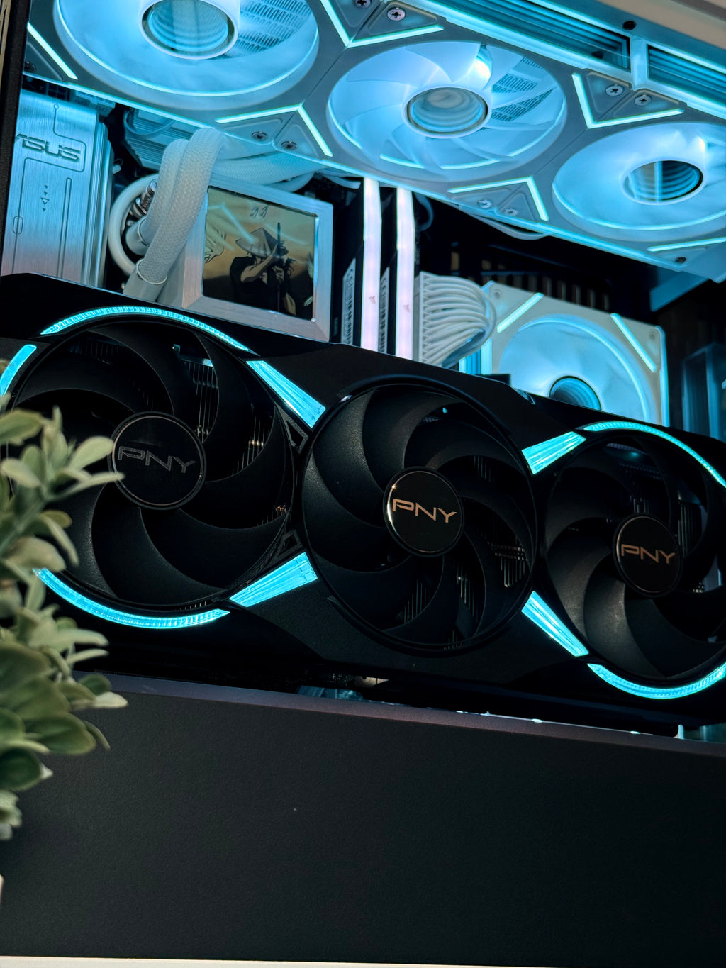 Flagship Series