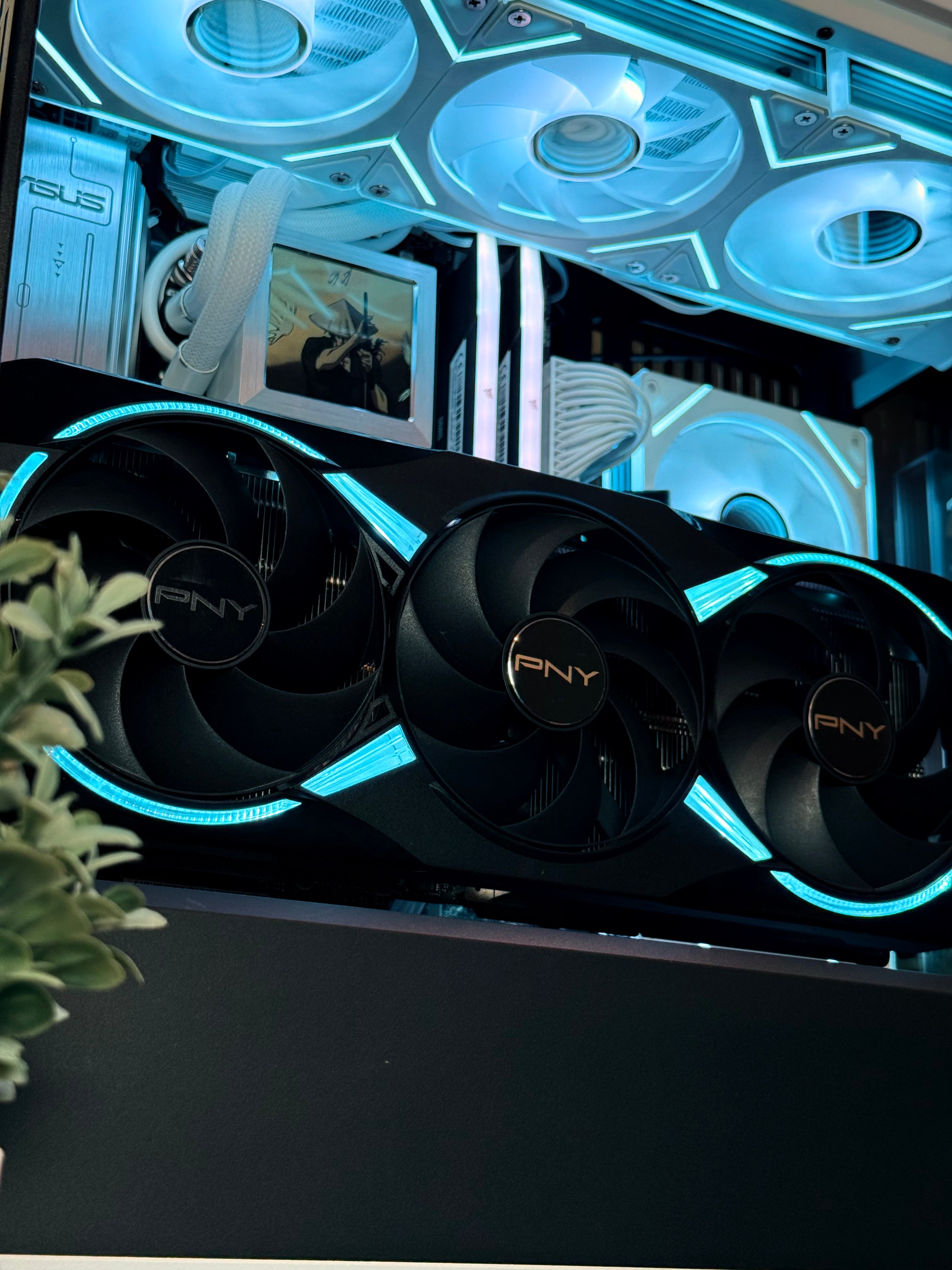 Flagship Series